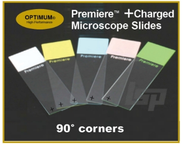 Picture of 1440/case (10 gross), +Charged, Adhesive Coated GLASS Microscope Slides, 90° corners, SC-7801 series