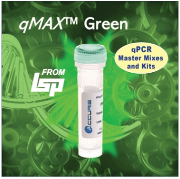 Picture of Accuris, qMax Green qPCR 2X Master Mix