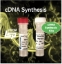 Picture of Accuris_qMAX_cDNA Synthesis Kit, and First Strand_cDNA Synthesis Flex Kit