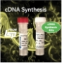 Picture of Accuris_qMAX_cDNA Synthesis Kit, and First Strand_cDNA Synthesis Flex Kit