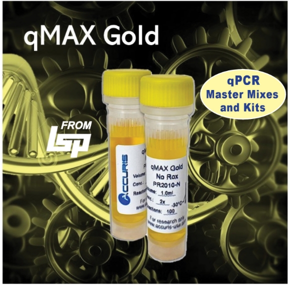 Picture of Accuris, qMax Gold qPCR Superior 2X Master Mix