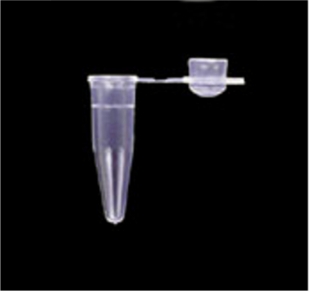 Picture of PCR Single Tubes - 0.2ml Thin Wall with Bubble/Dome Cap, 1000/pack