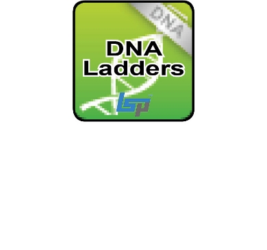 Picture for category DNA Ladders