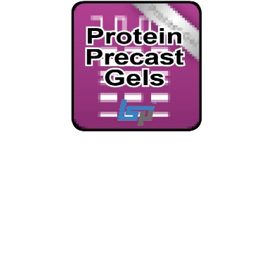 Picture for category Q-PAGE™ Protein Precast PAGE Gels