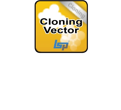 Picture for category PCR Cloning Vector