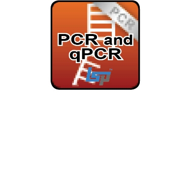 Picture for category Taq for PCR, qPCR, Master Mixes