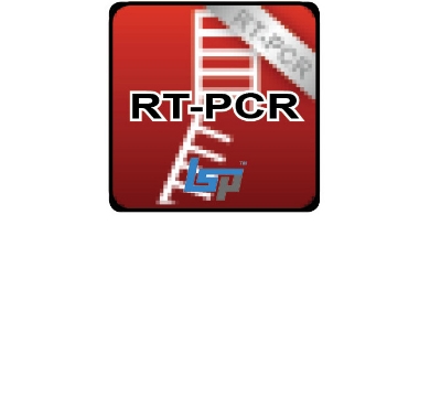 Picture for category cDNA Synthesis; RT-PCR