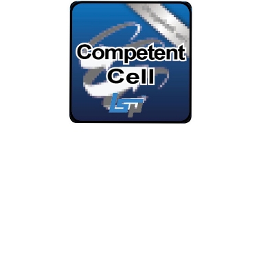 Picture for category Competent Cells;  Transformation Kit