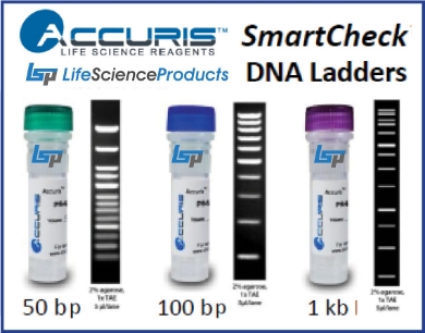 Picture for category 7) DNA Ladders, and Protein Markers