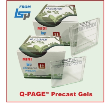 Picture of  Q-PAGE™ Precast Gels - Bis-Tris or TGN, Mini or Midi, 12 or 15 well, Fixed or Gradient