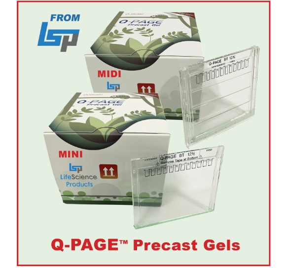 Q-PAGE™ Precast Gels - Bis-Tris or TGN, Mini or Midi, 12 or 15 well, Fixed  or Gradient