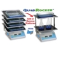 Picture of Benchmark Scientific QuadRocker™  BR5404 - Accepts up to four platforms