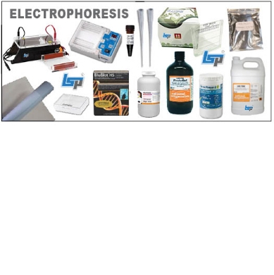 Picture for category Electrophoresis products