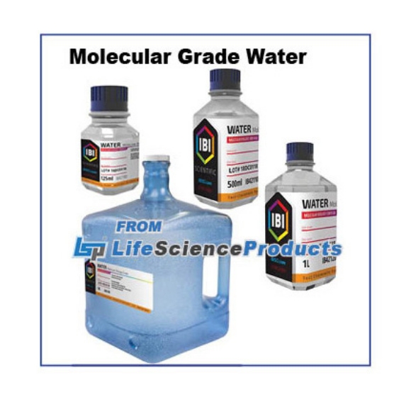 Picture of IBI Scientific -Sterile, Molecular Grade Water