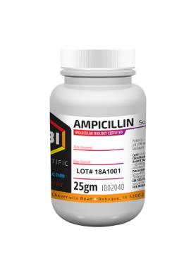 Picture of Ampicillin, Na Salt (25 gram)