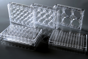 Picture of NEST 96 Well Cell Culture Treated Plαte, Flat Bottom, TC, sterile 1/pk, 100/case