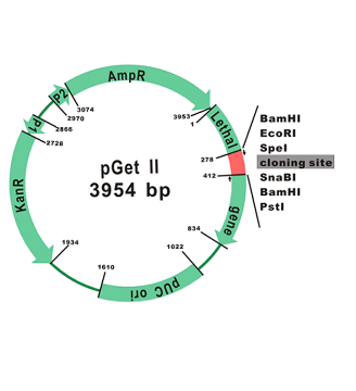 Picture of SMOBio (aka TrueBio), GetClone PCR Cloning Vector II, 20 reactions