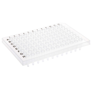 Picture of CellTreat 96 Well PCR·Plate, Half (Semi) Skirt, Clear with 0.2mL wells (A12 notch) for ABI Thermal Cyclers, 50/case