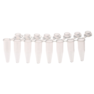 Picture of PCR 8-Strip Tubes, 0.2mL, Separable/Pull-Apart Individually Attached Tubes with Domed Caps, Clear, 120 x 8-strips (960 tubes)/case