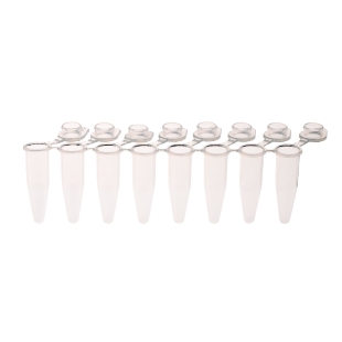 Picture of PCR 8-Strip Tubes, 0.2mL, Separable/Pull-Apart Individually Attached Tubes with Flat Caps, Clear, 120 x 8-strips (960 tubes)/case