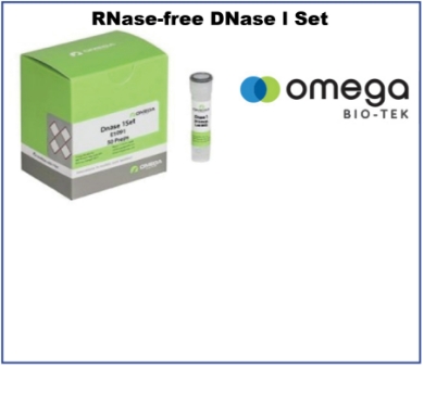 Picture for category 3) RNase Free DNase Sets