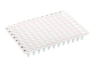 Picture of Perƒorm™ 96-well PCR Plαtes - Low-Profile 0.1mL per well, Non-Skirted, White Color, Universal Standard Plαtes Notch H12, 10/pack, 10 packs/case, 100/case