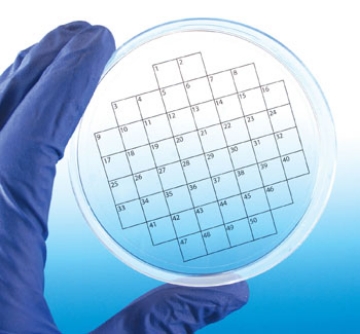 Picture of PetriStickers Square Grids, Stickers for Petri Dishes