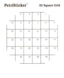 Picture of PètriStickers with 32 Square Grids, 36/pack