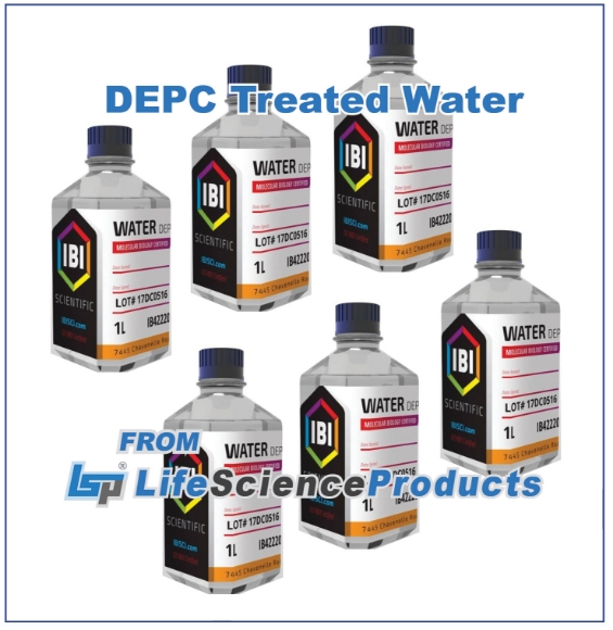 Picture of IBI Scientific - Sterile, DEPC Treated Water