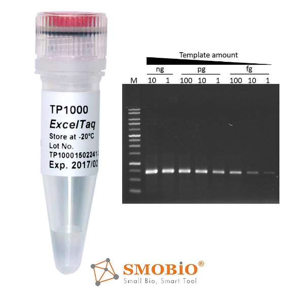 Picture of 500 units (5 µl) -  ExcelTaq™ Standard Taq DNA Polymerase