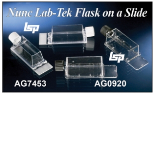 Picture of Lab-Tèk Glass Flaskètte® on Slide, 96/case