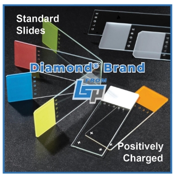 Picture of Microscope Slides, Diamond® Brand