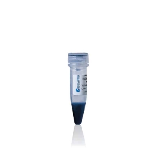 Picture of Accurìs - SmartChèck™ Blue Protein Markèr, 10 bands 9-180 kDA, 2x250ul