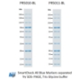 Picture of Accuris™ SmartCheck Protein Markers, 500ul/unit (100 lanes), Ready-to-Use