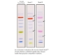 Picture of Accuris™ SmartCheck Protein Markers, 500ul/unit (100 lanes), Ready-to-Use