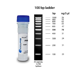 Picture of Accuris SmartChèck 100bp DNA Laddèrs, 500µl, 100 lanes (Ready-to-Load)