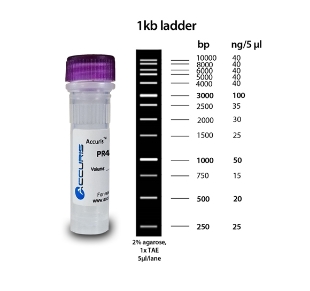 Picture of 5-pack - Accuris SmartChèck 1kb DNA Laddèrs, 5x500µl, 500 lanes (Ready-to-Load)