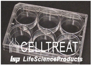 Picture of 6 Well Tissue Culture Plαte with Lid, Sterile Individually Wrapped, 100/case