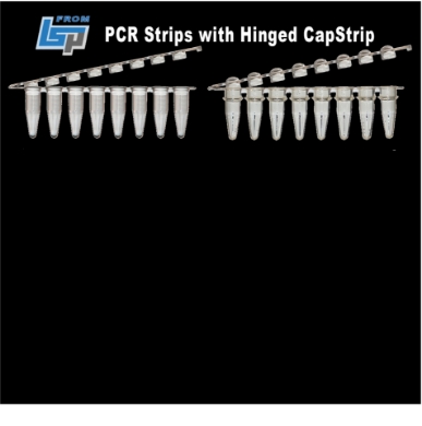 Picture for category PCR Strips Hinged (Croc)