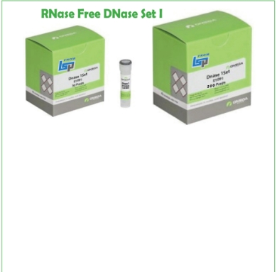 Picture for category RNase-Free DNase Set