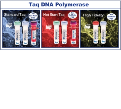 Picture for category Taq DNA Polymerase