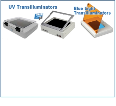 Picture for category Transilluminators