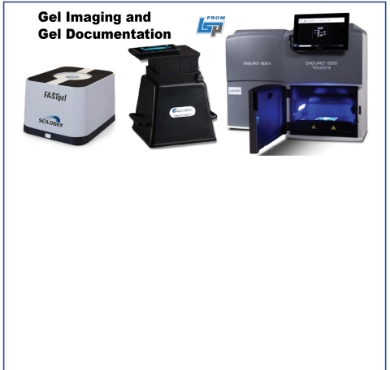 Picture for category Gel Imaging / Gel Docs