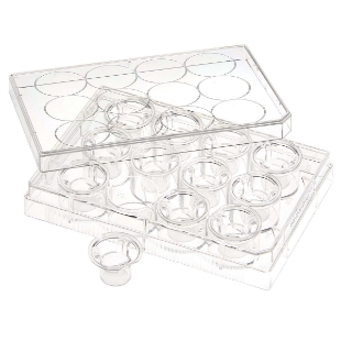 Picture of Permeable Cell Culture Inserts, Packed in 12 Well Plate, Hanging, PC, 0.1µm, Sterile 24/case