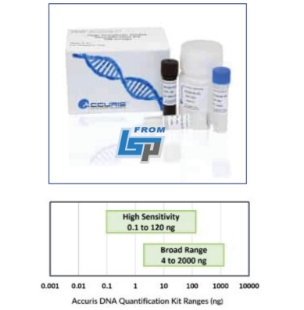 Picture of Broad Range dsDNA Quantification Kit, 100 assays