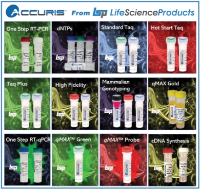 Picture for category ACCURIS - PCR Reagents - Taq, nDTP's