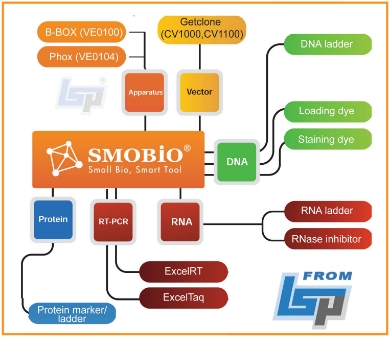 Picture for category SMOBIO Molecular Biology Reagents