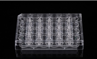 Picture of Sterile, 24 Well Glass Bottom Cell Culture Plate, Individually Wrapped, 10/case