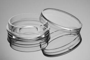 Picture of Sterile, 35mm Glass Bottom Cell Culture Dishes, 15mm diameter glass, 10/pack, 200/case