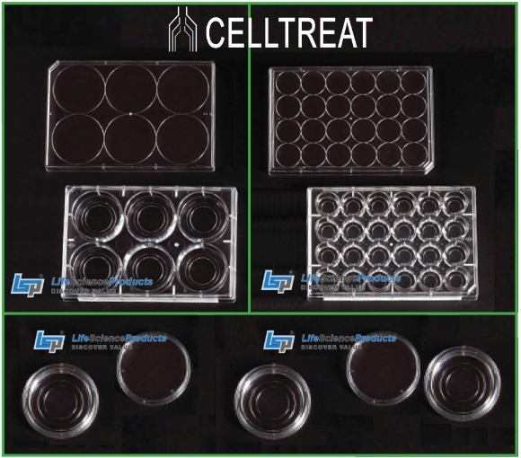 Picture of CELLTREAT Glass-Bottom Tissue Culture Plates & Dishes